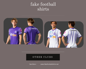 fake Sanfrecce Hiroshima football shirts 23-24